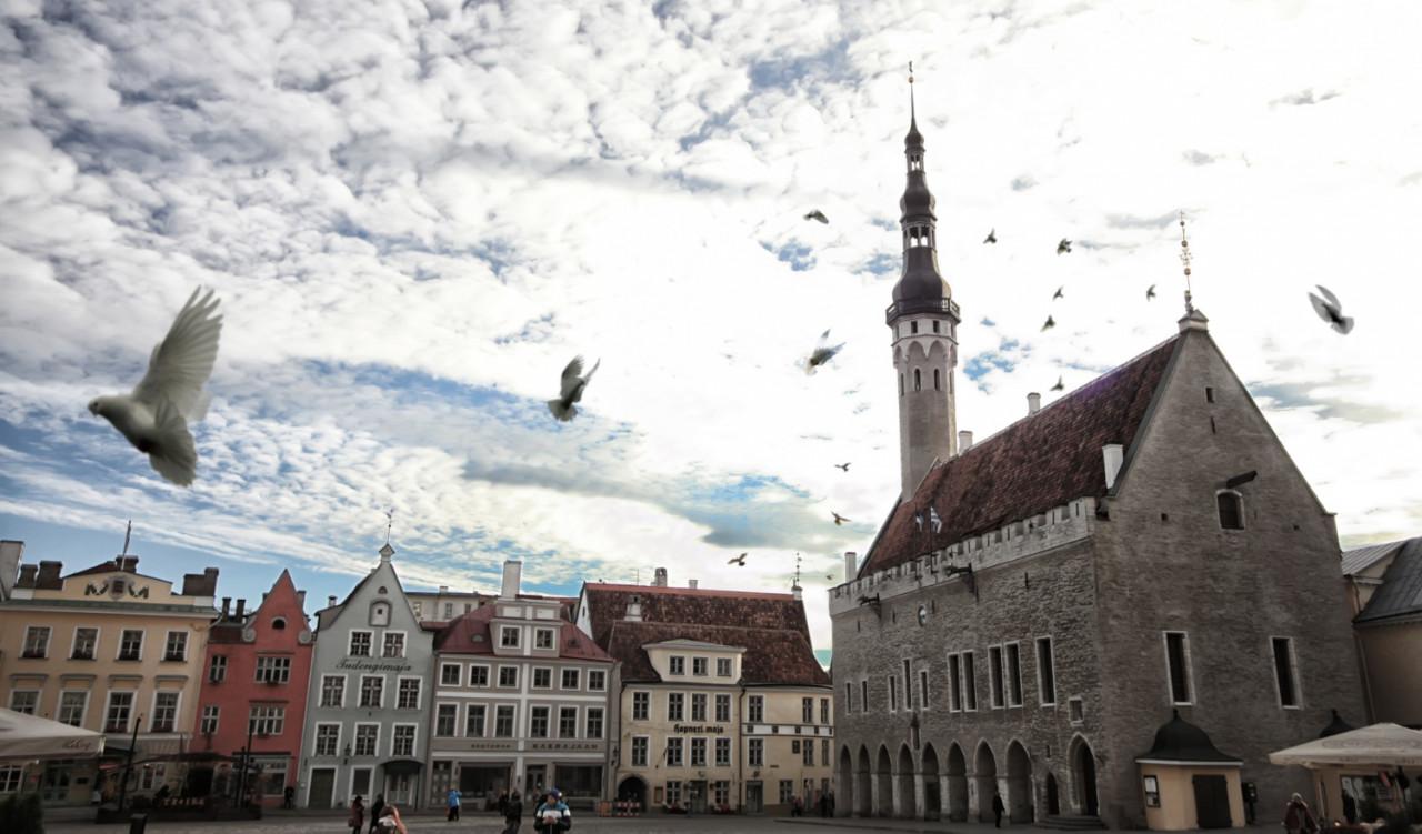 tallinn old town view town hall square raekoja plats beautiful capital city estonia summer